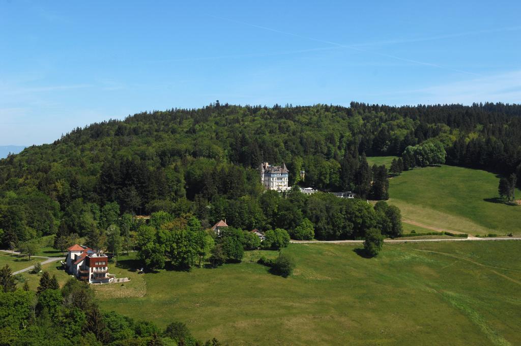 Chateau Des Avenieres Cruseilles Exterior photo
